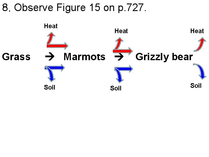 8. Observe Figure 15 on p. 727. Grass Marmots Soil Heat Grizzly bear Soil