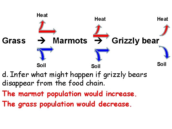 Heat Grass Marmots Soil Heat Grizzly bear d. Infer what might happen if grizzly