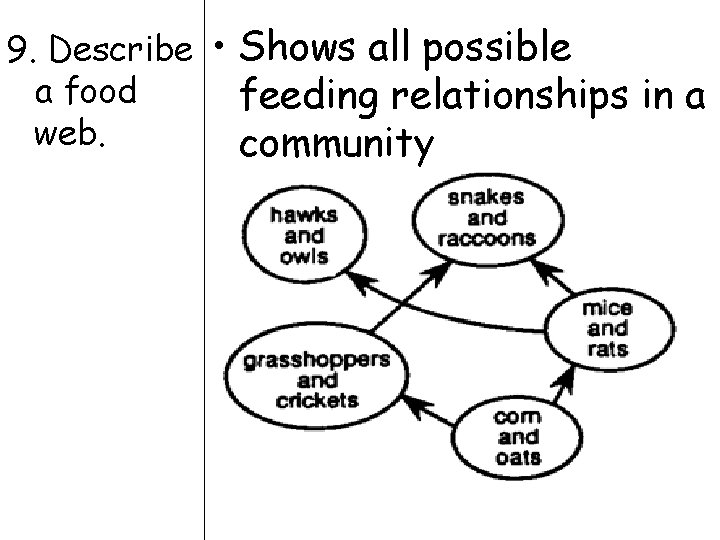 9. Describe • Shows all possible a food feeding relationships in a web. community