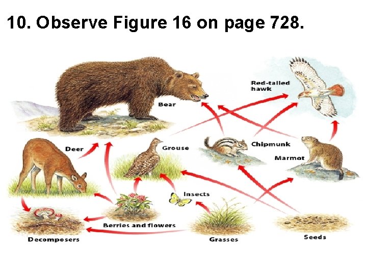 10. Observe Figure 16 on page 728. 