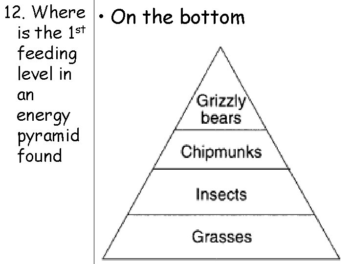 12. Where • On the bottom is the 1 st feeding level in an