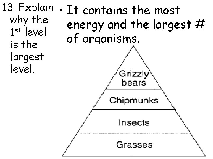 13. Explain • It contains the most why the energy and the largest #