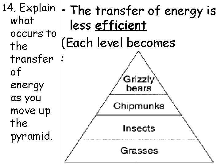 14. Explain • The transfer of energy is what less efficient occurs to (Each