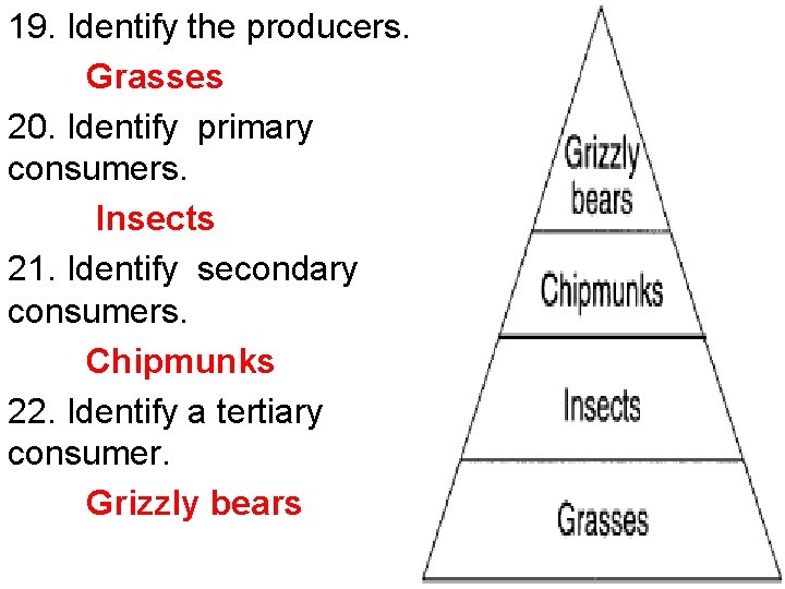 19. Identify the producers. Grasses 20. Identify primary consumers. Insects 21. Identify secondary consumers.
