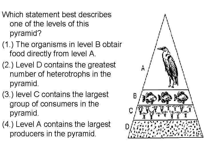 Which statement best describes one of the levels of this pyramid? (1. ) The