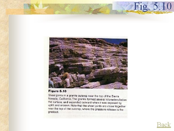 Fig. 5. 10 Back 