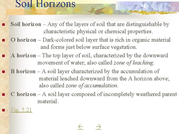 Soil Horizons n n n Soil horizon – Any of the layers of soil