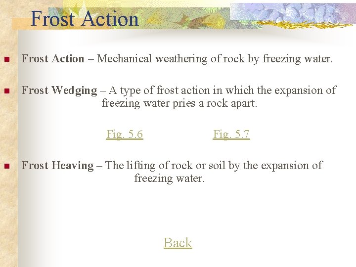 Frost Action n Frost Action – Mechanical weathering of rock by freezing water. n