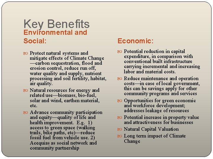 Beyond Environmental and Social Benefits Economics of Green