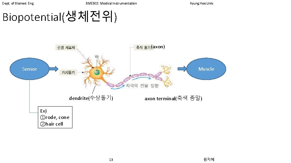 Dept. of Biomed. Eng. BME 302: Medical Instrumentation Kyung Hee Univ. Biopotential(생체전위) (axon) Sensor