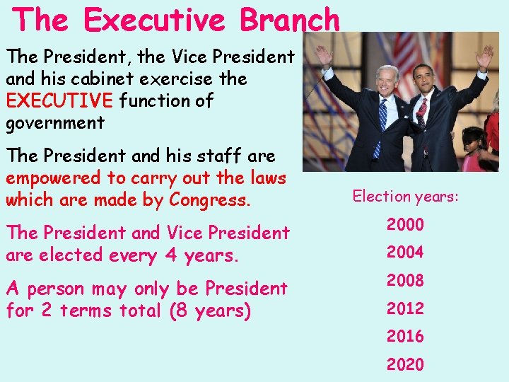 The Executive Branch The President, the Vice President and his cabinet exercise the EXECUTIVE