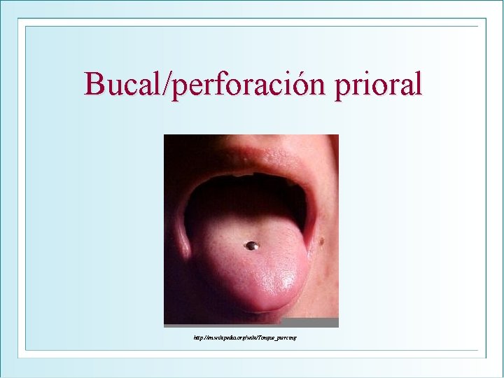 Bucal/perforación prioral http: //en. wikipedia. org/wiki/Tongue_piercing 