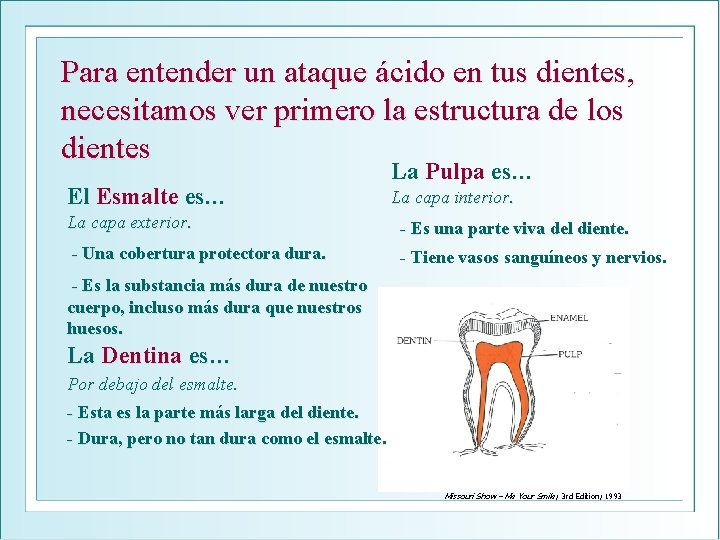 Para entender un ataque ácido en tus dientes, necesitamos ver primero la estructura de