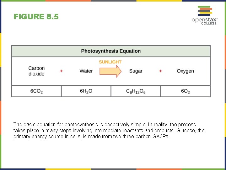 FIGURE 8. 5 The basic equation for photosynthesis is deceptively simple. In reality, the