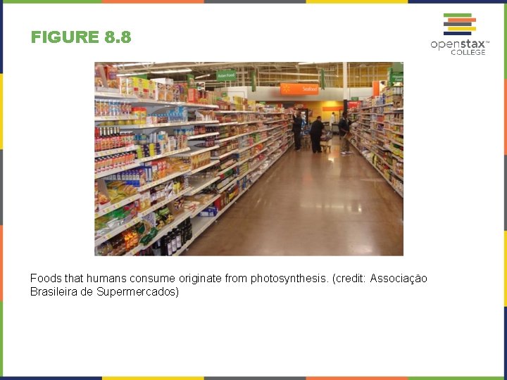 FIGURE 8. 8 Foods that humans consume originate from photosynthesis. (credit: Associaçäo Brasileira de