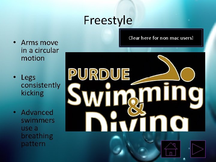 Freestyle • Arms move in a circular motion • Legs consistently kicking • Advanced