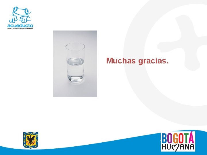 Muchas gracias. 