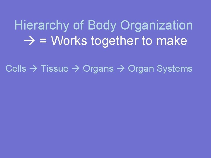 Hierarchy of Body Organization = Works together to make Cells Tissue Organs Organ Systems