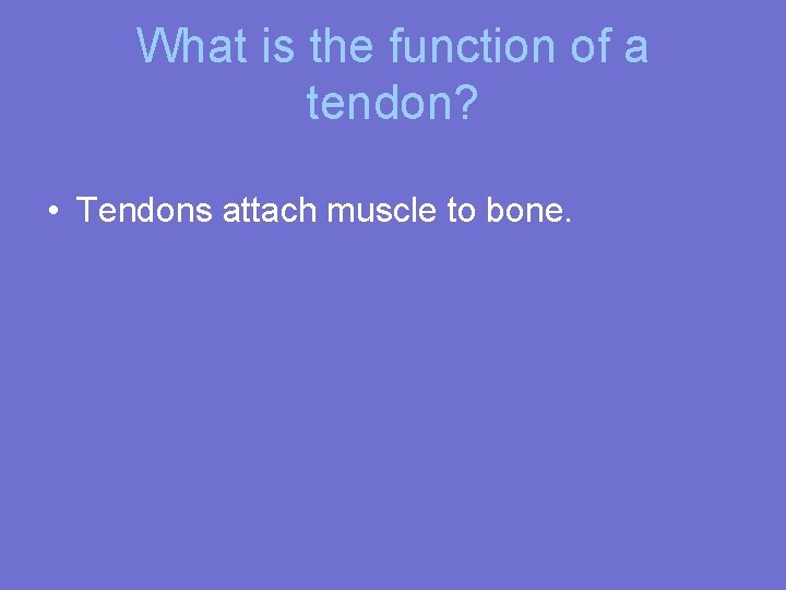 What is the function of a tendon? • Tendons attach muscle to bone. 