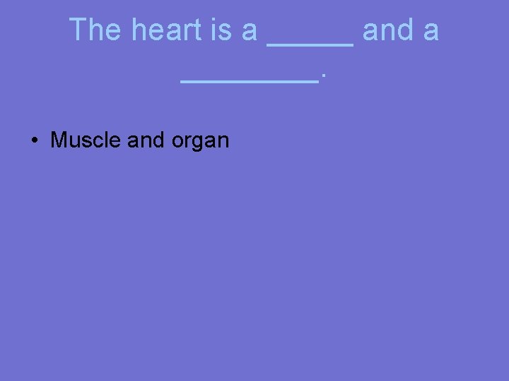The heart is a _____ and a ____. • Muscle and organ 