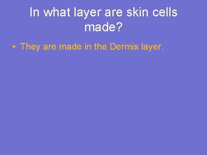 In what layer are skin cells made? • They are made in the Dermis