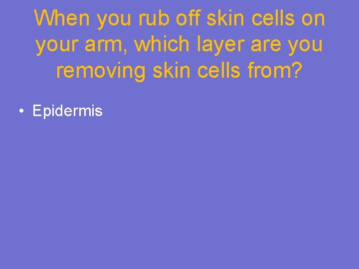When you rub off skin cells on your arm, which layer are you removing