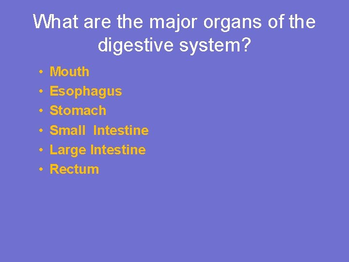 What are the major organs of the digestive system? • • • Mouth Esophagus
