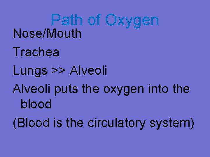 Path of Oxygen Nose/Mouth Trachea Lungs >> Alveoli puts the oxygen into the blood