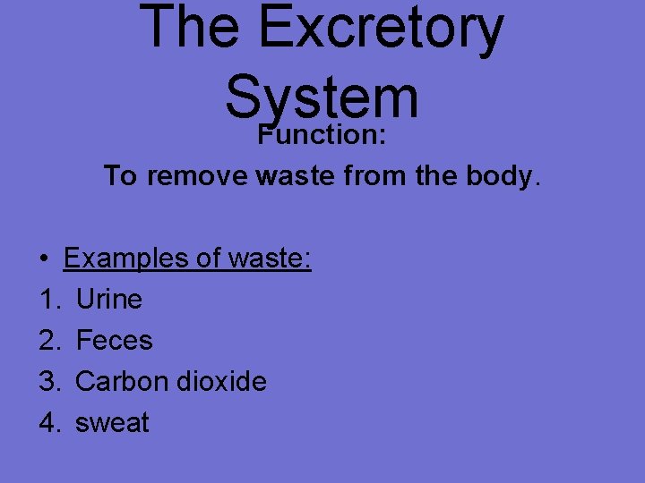 The Excretory System Function: To remove waste from the body. • Examples of waste: