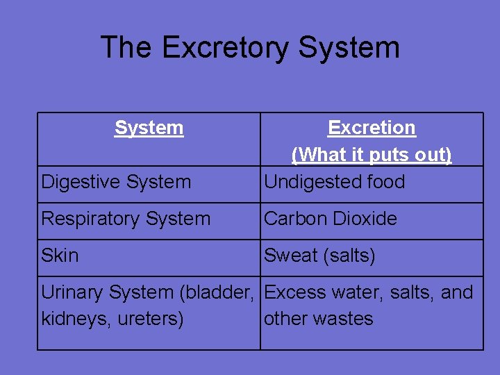 The Excretory System Digestive System Excretion (What it puts out) Undigested food Respiratory System