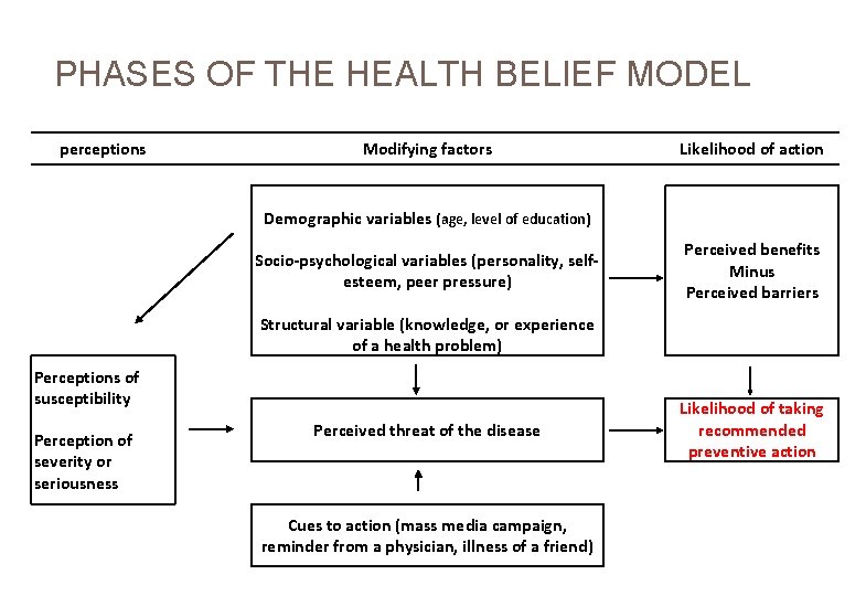  PHASES OF THE HEALTH BELIEF MODEL perceptions Modifying factors Likelihood of action Demographic