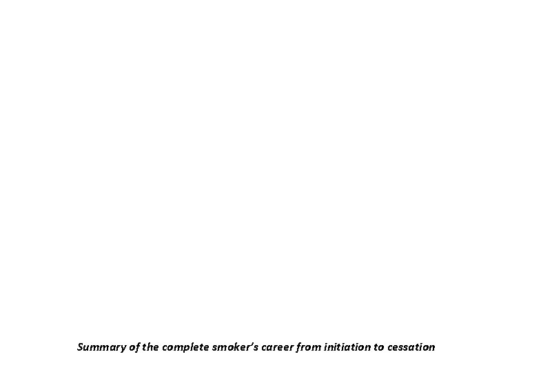 Summary of the complete smoker’s career from initiation to cessation 