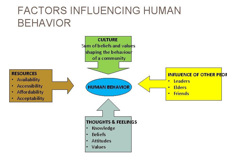 FACTORS INFLUENCING HUMAN BEHAVIOR CULTURE Sum of beliefs and values shaping the behaviour of