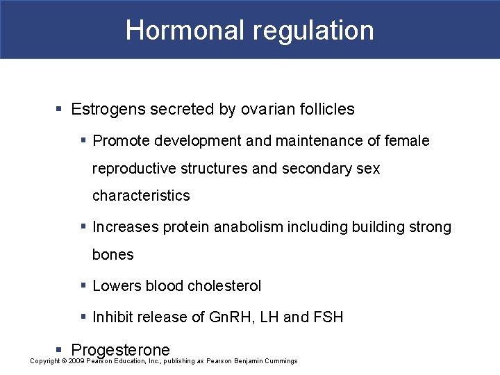 Hormonal regulation § Estrogens secreted by ovarian follicles § Promote development and maintenance of