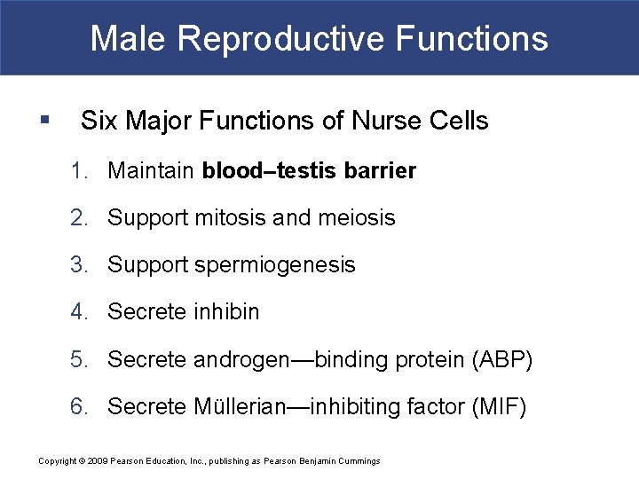 Male Reproductive Functions § Six Major Functions of Nurse Cells 1. Maintain blood–testis barrier