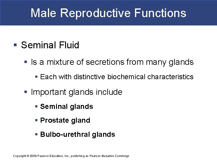 Male Reproductive Functions § Seminal Fluid § Is a mixture of secretions from many