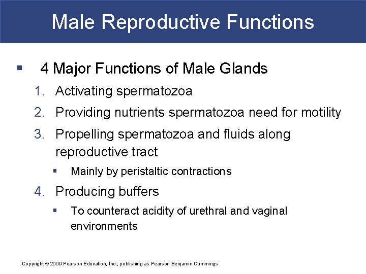 Male Reproductive Functions § 4 Major Functions of Male Glands 1. Activating spermatozoa 2.