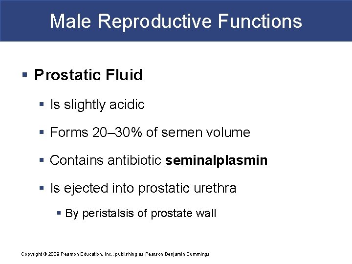 Male Reproductive Functions § Prostatic Fluid § Is slightly acidic § Forms 20– 30%