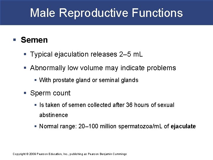 Male Reproductive Functions § Semen § Typical ejaculation releases 2– 5 m. L §