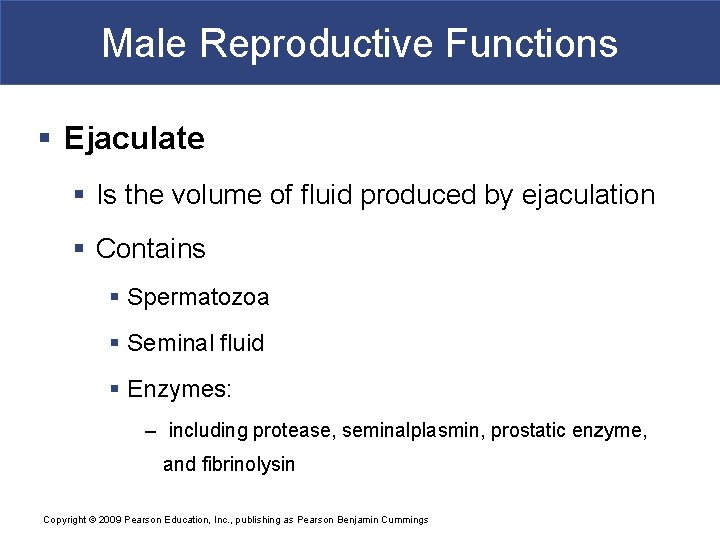 Male Reproductive Functions § Ejaculate § Is the volume of fluid produced by ejaculation