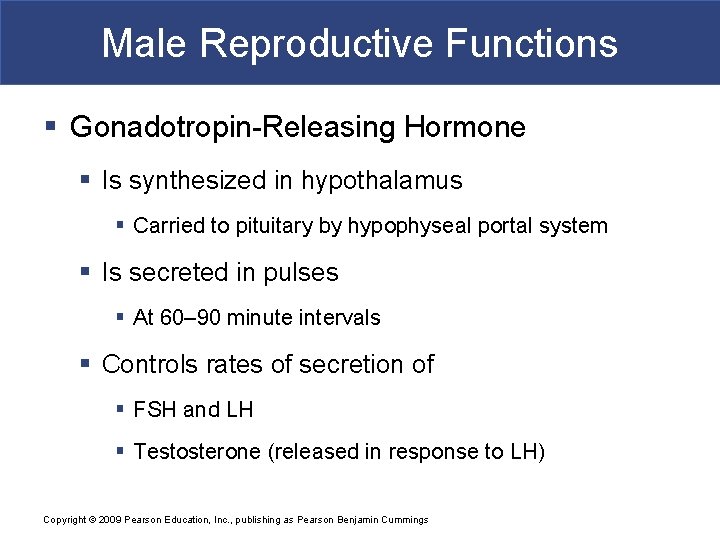 Male Reproductive Functions § Gonadotropin-Releasing Hormone § Is synthesized in hypothalamus § Carried to