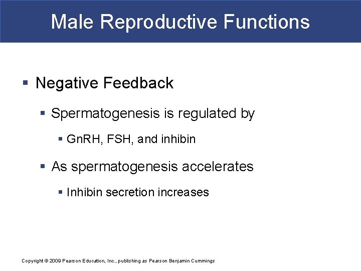 Male Reproductive Functions § Negative Feedback § Spermatogenesis is regulated by § Gn. RH,