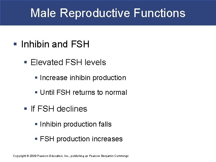 Male Reproductive Functions § Inhibin and FSH § Elevated FSH levels § Increase inhibin