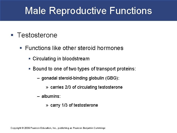 Male Reproductive Functions § Testosterone § Functions like other steroid hormones § Circulating in