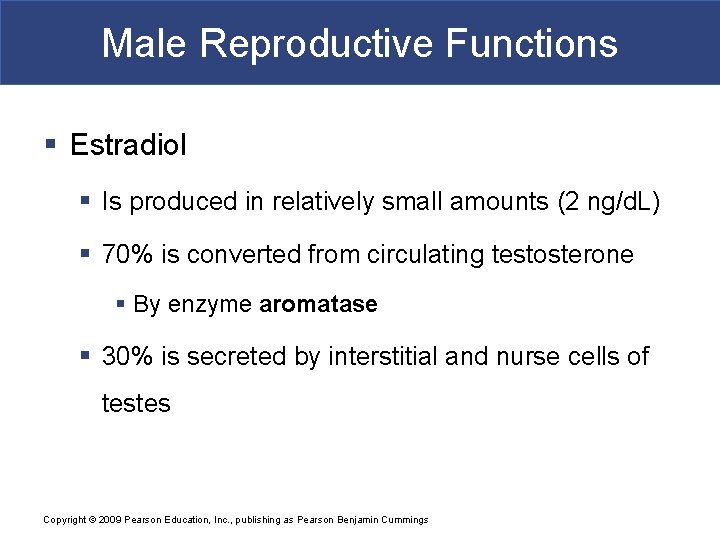 Male Reproductive Functions § Estradiol § Is produced in relatively small amounts (2 ng/d.