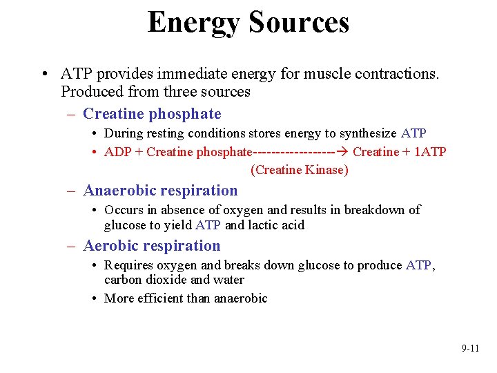 Energy Sources • ATP provides immediate energy for muscle contractions. Produced from three sources