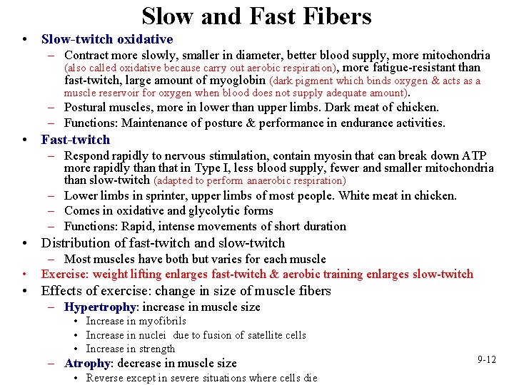 Slow and Fast Fibers • Slow-twitch oxidative – Contract more slowly, smaller in diameter,