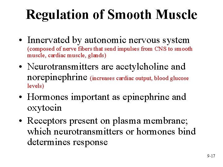 Regulation of Smooth Muscle • Innervated by autonomic nervous system (composed of nerve fibers