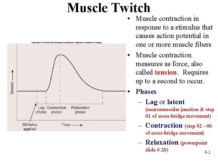 Muscle Twitch • Muscle contraction in response to a stimulus that causes action potential