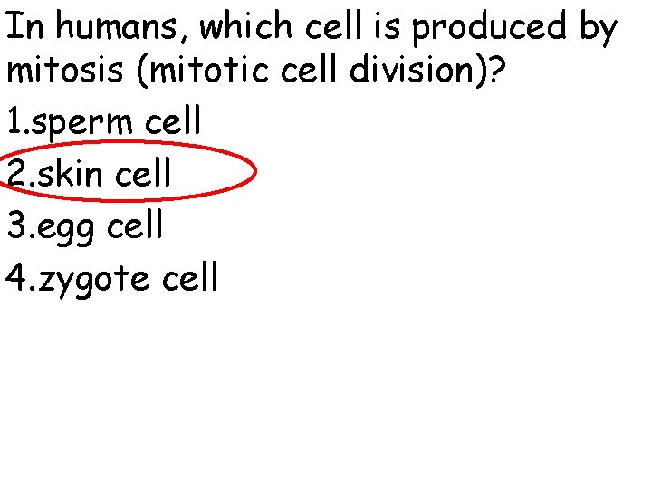 In humans, which cell is produced by mitosis (mitotic cell division)? 1. sperm cell